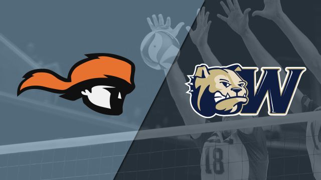 Tusculum vs. Wingate (Quarterfinals) (SAC Women's Volleyball Championship)