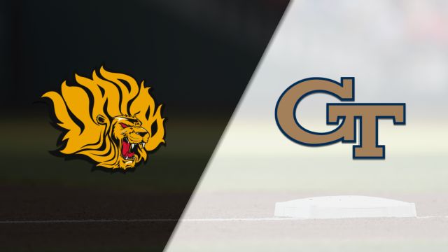 Arkansas-Pine Bluff vs. Georgia Tech (Baseball)