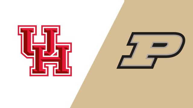 Houston vs. Purdue (Site 13 / Game 2) (NCAA Baseball Championship)