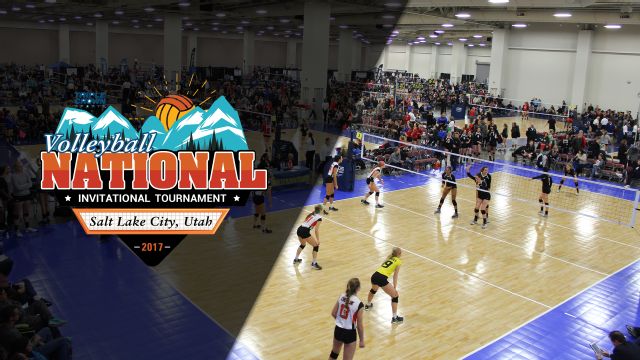 Triple Crown Volleyball NIT (14 Open Championship)