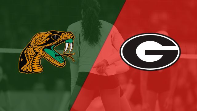 Florida A&M vs. Georgia (W Volleyball)