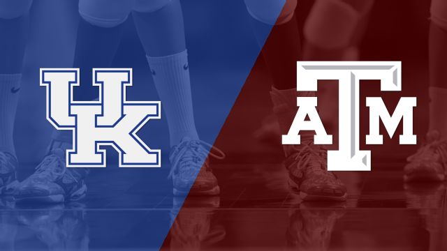 #6 Kentucky vs. Texas A&M (W Volleyball)