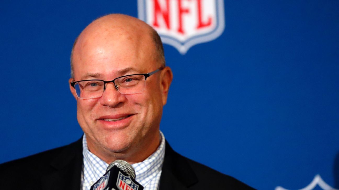 Sale of Panthers franchise to David Tepper finalized abc11 com